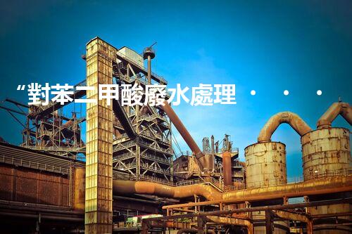 “對苯二甲酸廢水處理，綠色創(chuàng)新引領環(huán)保新篇章”